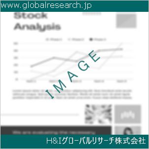 グローバルリサーチ調査資料のイメージ
